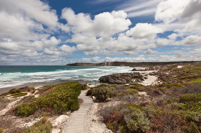 178 Kangaroo Island, pennington bay.jpg